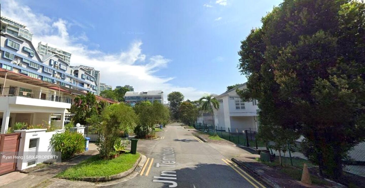 Haig Road (D15), Terrace #461166511